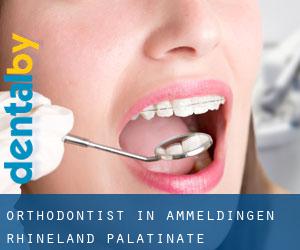 Orthodontist in Ammeldingen (Rhineland-Palatinate)