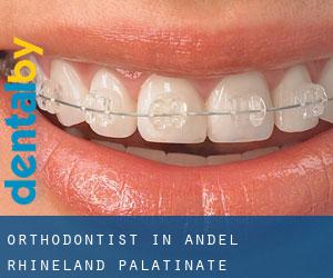 Orthodontist in Andel (Rhineland-Palatinate)