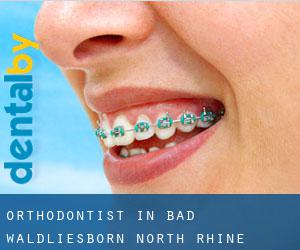 Orthodontist in Bad Waldliesborn (North Rhine-Westphalia)