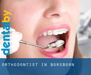 Orthodontist in Börsborn