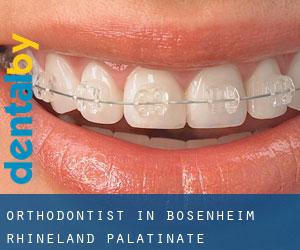 Orthodontist in Bosenheim (Rhineland-Palatinate)