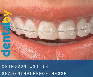 Orthodontist in Gnadenthalerhof (Hesse)