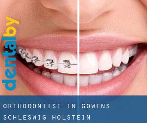 Orthodontist in Gowens (Schleswig-Holstein)