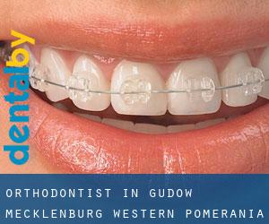 Orthodontist in Gudow (Mecklenburg-Western Pomerania)