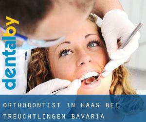 Orthodontist in Haag bei Treuchtlingen (Bavaria)