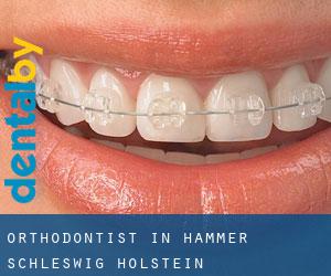 Orthodontist in Hammer (Schleswig-Holstein)