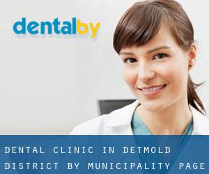 Dental clinic in Detmold District by municipality - page 1
