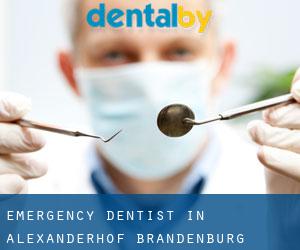 Emergency Dentist in Alexanderhof (Brandenburg)