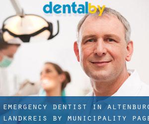 Emergency Dentist in Altenburg Landkreis by municipality - page 1