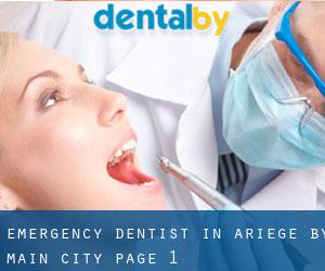 Emergency Dentist in Ariège by main city - page 1