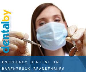 Emergency Dentist in Bärenbrück (Brandenburg)