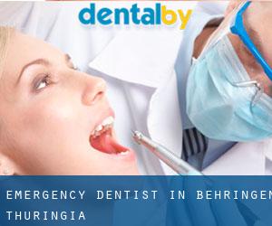 Emergency Dentist in Behringen (Thuringia)