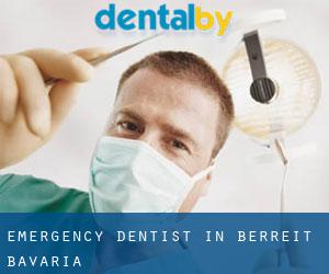 Emergency Dentist in Berreit (Bavaria)
