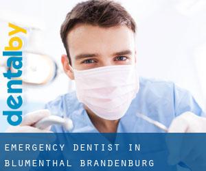 Emergency Dentist in Blumenthal (Brandenburg)