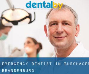 Emergency Dentist in Burghagen (Brandenburg)