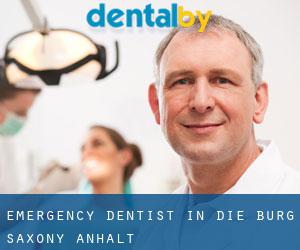 Emergency Dentist in Die Burg (Saxony-Anhalt)