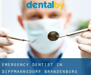 Emergency Dentist in Dippmannsdorf (Brandenburg)