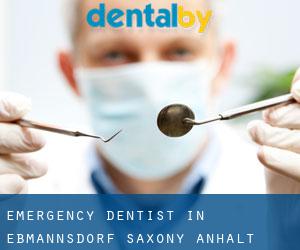 Emergency Dentist in Eßmannsdorf (Saxony-Anhalt)