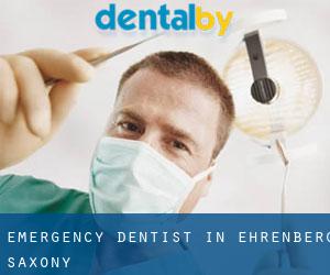 Emergency Dentist in Ehrenberg (Saxony)