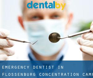 Emergency Dentist in Flossenbürg concentration camp