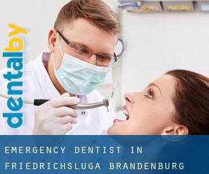 Emergency Dentist in Friedrichsluga (Brandenburg)