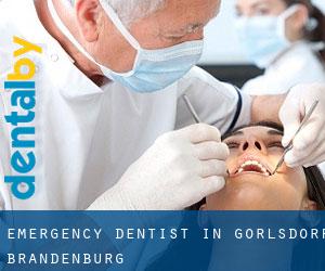Emergency Dentist in Görlsdorf (Brandenburg)