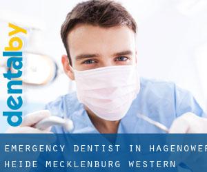 Emergency Dentist in Hagenower Heide (Mecklenburg-Western Pomerania)