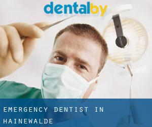 Emergency Dentist in Hainewalde
