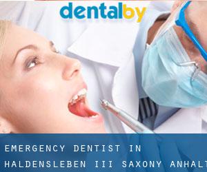 Emergency Dentist in Haldensleben III (Saxony-Anhalt)