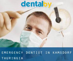 Emergency Dentist in Kamsdorf (Thuringia)