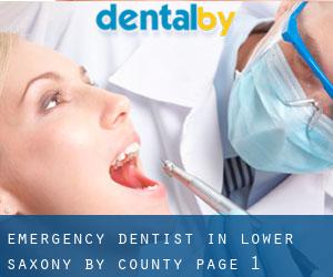 Emergency Dentist in Lower Saxony by County - page 1
