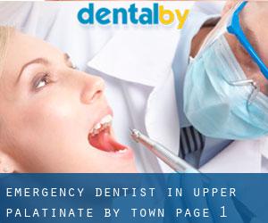 Emergency Dentist in Upper Palatinate by town - page 1