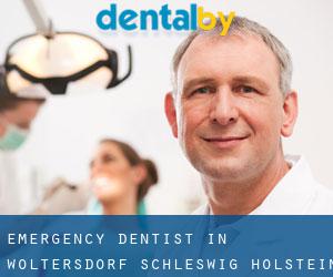 Emergency Dentist in Woltersdorf (Schleswig-Holstein)