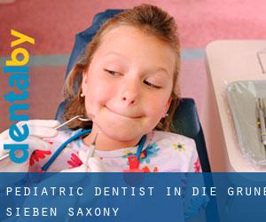 Pediatric Dentist in Die Grüne Sieben (Saxony)