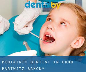 Pediatric Dentist in Groß Partwitz (Saxony)