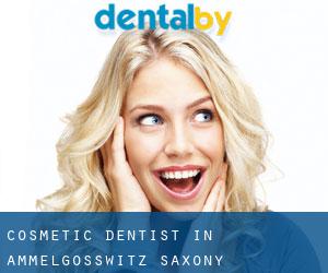 Cosmetic Dentist in Ammelgosswitz (Saxony)