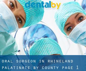 Oral Surgeon in Rhineland-Palatinate by County - page 1