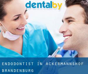 Endodontist in Ackermannshof (Brandenburg)