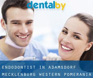 Endodontist in Adamsdorf (Mecklenburg-Western Pomerania)