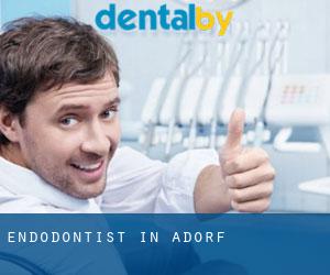 Endodontist in Adorf