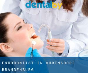 Endodontist in Ahrensdorf (Brandenburg)