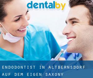 Endodontist in Altbernsdorf auf dem Eigen (Saxony)