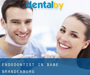 Endodontist in Babe (Brandenburg)