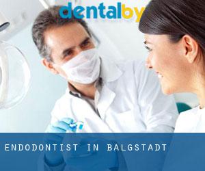 Endodontist in Balgstädt