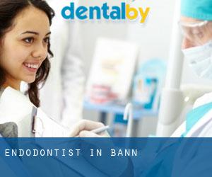 Endodontist in Bann