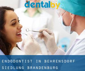 Endodontist in Behrensdorf Siedlung (Brandenburg)