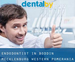 Endodontist in Boddin (Mecklenburg-Western Pomerania)