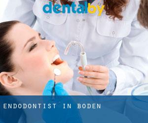 Endodontist in Boden