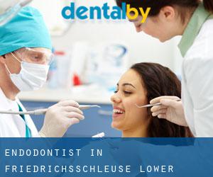 Endodontist in Friedrichsschleuse (Lower Saxony)