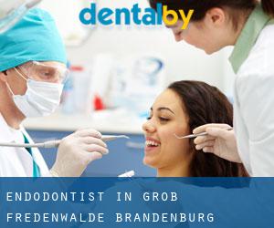 Endodontist in Groß Fredenwalde (Brandenburg)